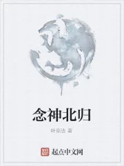 《念神北归》小说封面