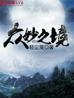 《众妙之境》封面