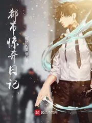 《都市惊奇日记》封面