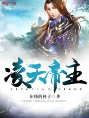 《凌天帝主》封面