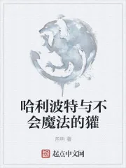 《哈利波特与不会魔法的獾》封面