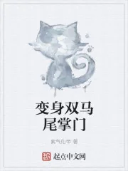 《变身双马尾掌门》封面