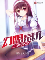 《二次元之幻想系统》封面