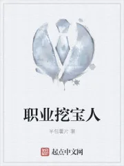 《职业挖宝人》封面