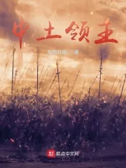 《魔戒：中土领主》封面