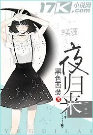 《夜归来》封面