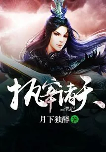 《执宰诸天》封面
