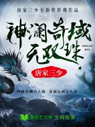 《神澜奇域无双珠》封面