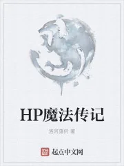 《HP魔法传记》封面