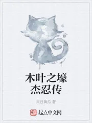 《木叶之壕杰忍传》封面