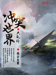 《冲突世界大乱斗》封面