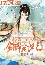 《楚王的金牌宠妃》封面