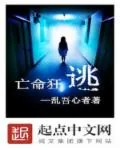 《无限猎杀游戏》封面