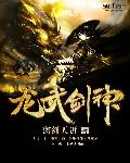 《龙武剑神》封面