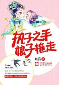 《执子之手，娘子拖走》封面