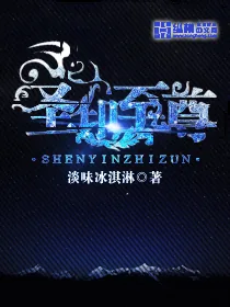《圣印至尊》封面