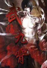 《武临九霄》封面