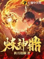 《炼神鼎》小说封面