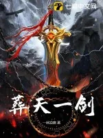 《葬天一剑》小说封面