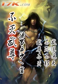 《不灭武尊》小说封面