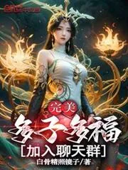 《完美：多子多福，添加聊天群！》小说封面