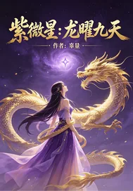 《紫微星:龙曜九天》小说封面