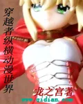 《穿越者纵横动漫世界》封面
