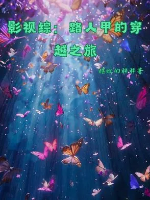 《综影视：路人甲穿越之旅》小说封面