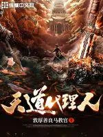 《天道代理人》小说封面