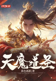 《天魔道圣》小说封面