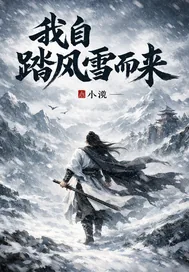 《我自踏风雪而来》小说封面