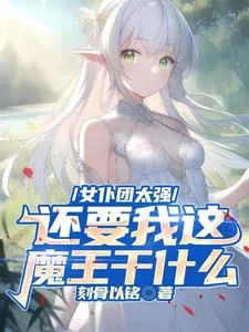 《女仆团太强，还要我这魔王干什么》小说封面