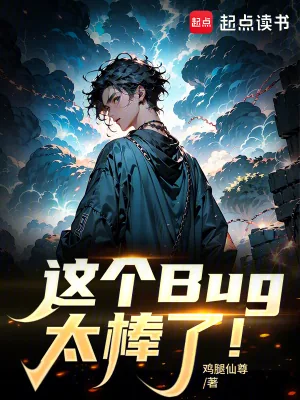 《这个Bug太棒了!》小说封面