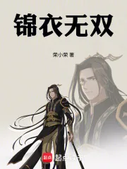 《锦衣无双》小说封面
