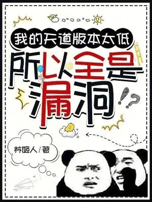 《我的天道版本太低,所以全是漏洞》小说封面