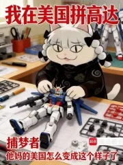 《我在美国拼高达》小说封面