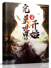 《自完美世界开始》小说封面