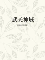 《武天神域》小说封面