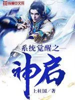 《系统觉醒之神启》小说封面