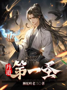 《丹道第一圣》小说封面