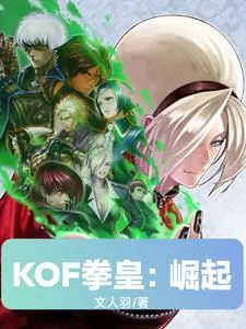 《KOF拳皇：崛起》小说封面