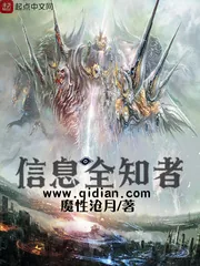 《信息全知者》小说封面