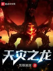 《天灾之龙》小说封面