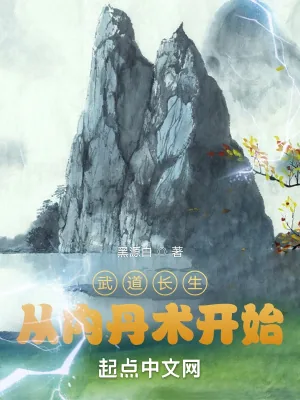 《武道长生从内丹术开始》小说封面