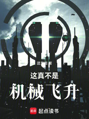 《这真不是机械飞升》小说封面