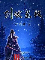 《剑破星极》小说封面