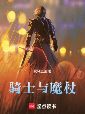 《骑士与魔杖》小说封面