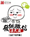 《发个微信去天庭》小说封面