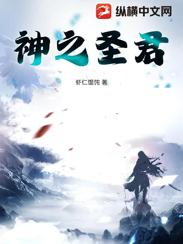 《神之圣君》小说封面
