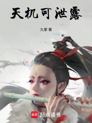 《玖鸢窥天》小说封面